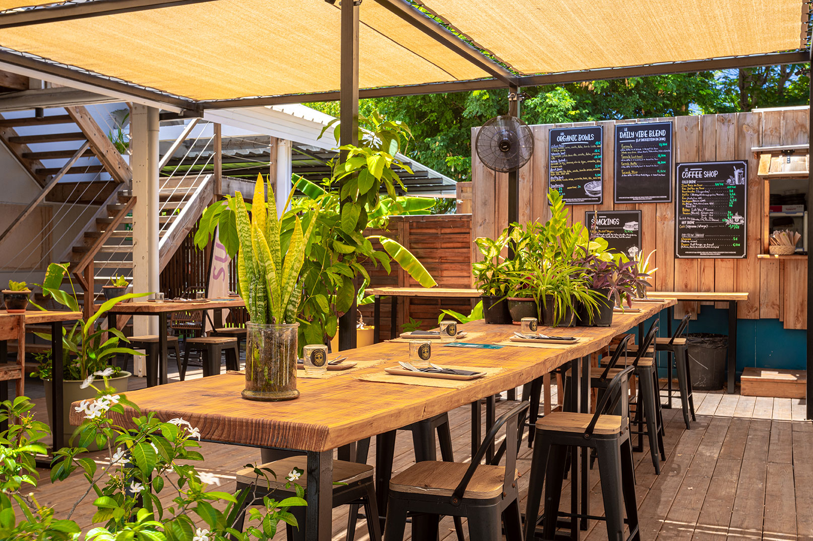 La terrasse ombragée et végétalisée du Victoria Green à Saint Gilles les Bains