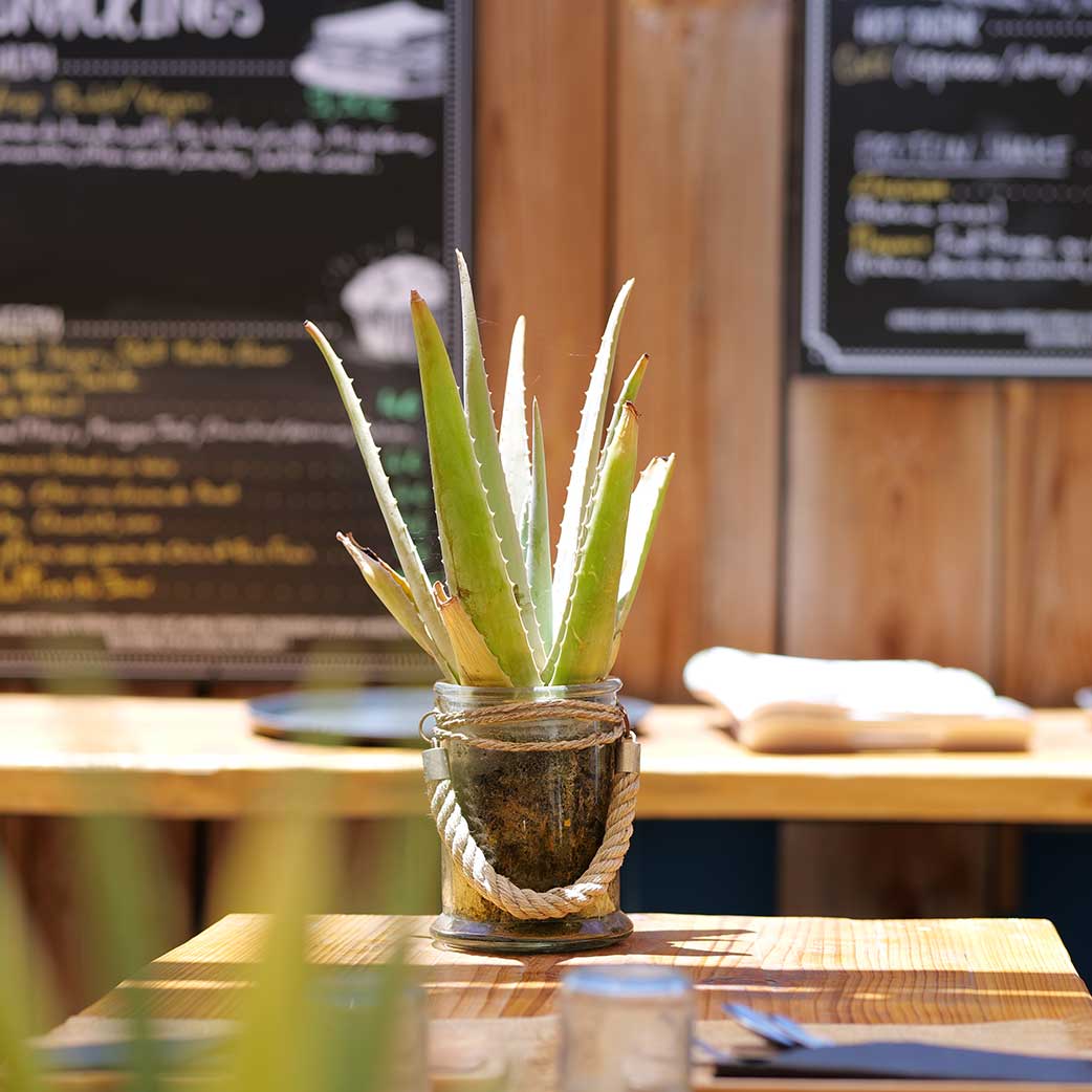La terrasse du Victoria Green à Saint Gilles les Bains